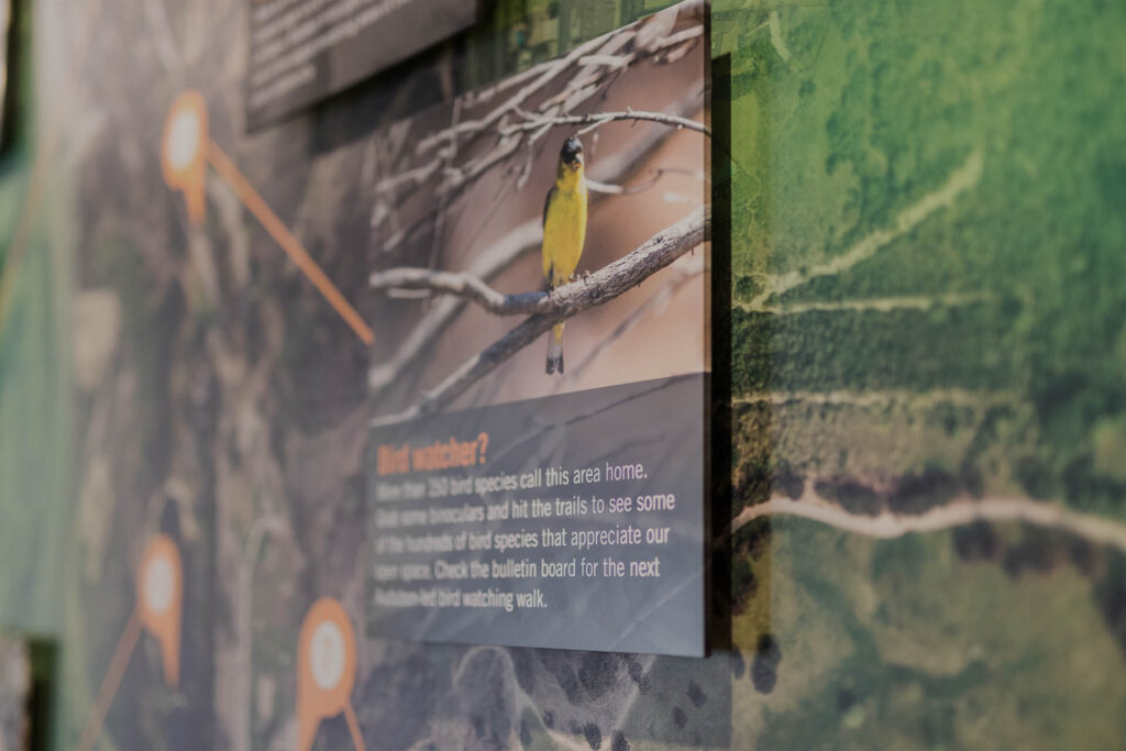 Vasquez Rocks Visitor Center graphic wall 2